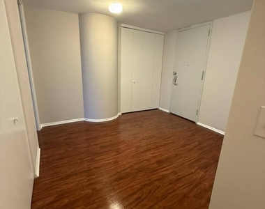505 N Lake Shore Drive - Photo Thumbnail 17