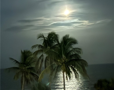 4005 Gulf Shore Boulevard N - Photo Thumbnail 31