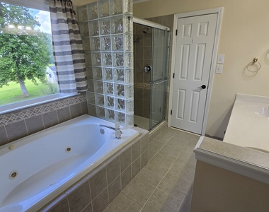 31 Springfield Court - Photo Thumbnail 41