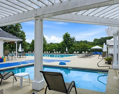 31 Springfield Court - Photo Thumbnail 53