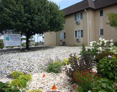 1187 Ocean Avenue - Photo Thumbnail 14