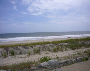 1187 Ocean Avenue - Photo Thumbnail 13
