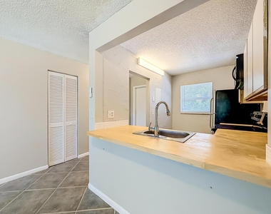207 Tropic Isle Drive - Photo Thumbnail 38