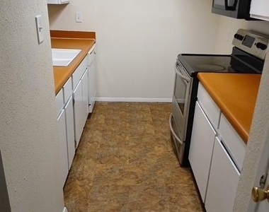 7431 Holly Hill Drive - Photo Thumbnail 5