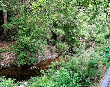 2809 Minert Street - Photo Thumbnail 13