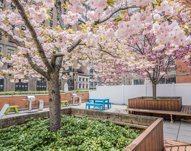 305 West 50th Street - Photo Thumbnail 7