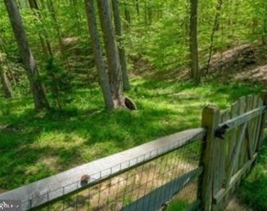 391 Windermere Drive - Photo Thumbnail 4