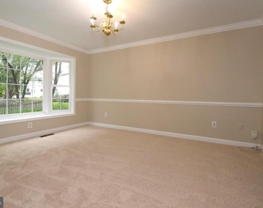 43493 Golden Meadow Circle - Photo Thumbnail 18