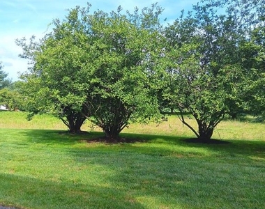 27 Kanon Court - Photo Thumbnail 17