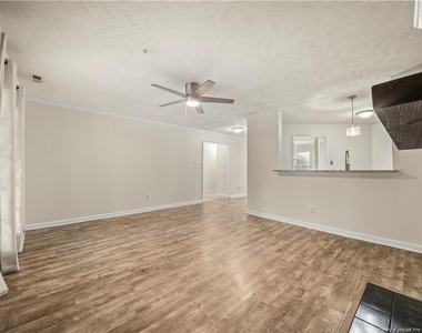 380 Bubble Creek Court - Photo Thumbnail 11