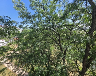 350 Plum Creek Drive - Photo Thumbnail 21