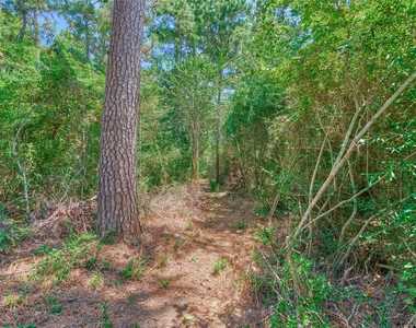 66 Valley Oaks Circle - Photo Thumbnail 43