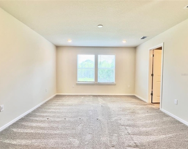 17431 Saw Palmetto Avenue - Photo Thumbnail 15