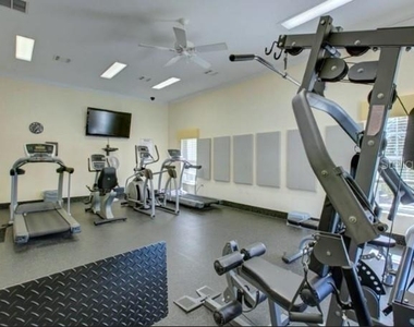 1207 Spoonbill Landings Circle - Photo Thumbnail 32