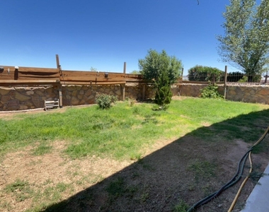 12052 Copper Head Lane - Photo Thumbnail 20