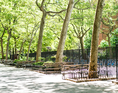 1st Avenue & East 14th Street, NY 10009 - Photo Thumbnail 12