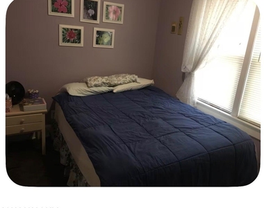 35 Albany Road - Photo Thumbnail 6