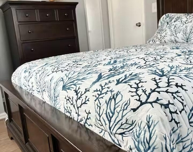 220 Catherine Lane - Photo Thumbnail 12