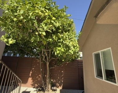 1718 Rodney Drive - Photo Thumbnail 3