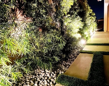 62 Cardamine - Photo Thumbnail 13