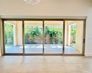 62 Cardamine - Photo Thumbnail 18