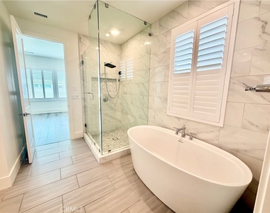 62 Cardamine - Photo Thumbnail 22