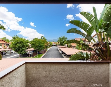 126 Flor De Sol - Photo Thumbnail 36