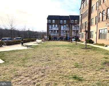 45091 Cappamore Terrace - Photo Thumbnail 5