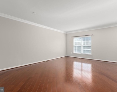 1105 Patrick Street - Photo Thumbnail 19