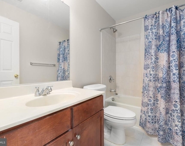 1105 Patrick Street - Photo Thumbnail 26