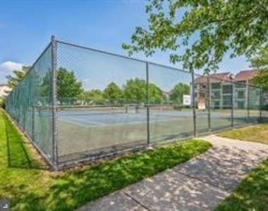 11 Harris Court - Photo Thumbnail 25