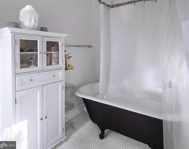 21 Maclean Street - Photo Thumbnail 19