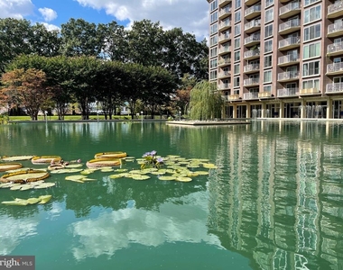 520 N Street Sw - Photo Thumbnail 4