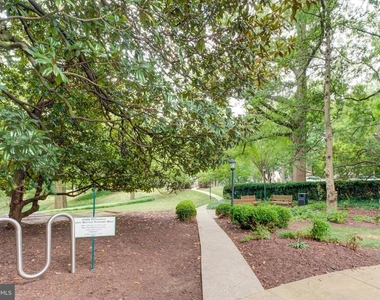 4200 Cathedral Avenue Nw - Photo Thumbnail 31