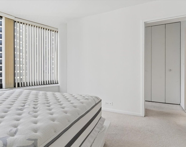 155 N Harbor Drive - Photo Thumbnail 17