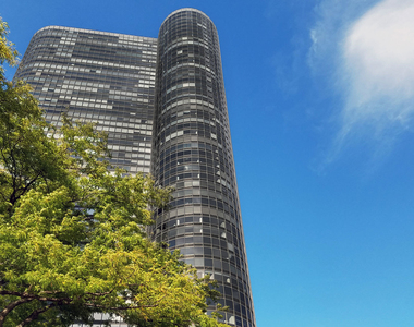 155 N Harbor Drive - Photo Thumbnail 26