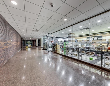 155 N Harbor Drive - Photo Thumbnail 44