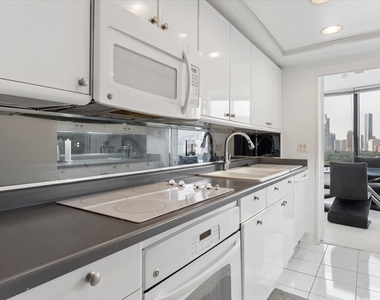 155 N Harbor Drive - Photo Thumbnail 9
