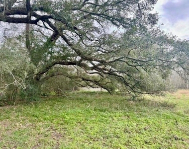 327 County Road 735 - Photo Thumbnail 15