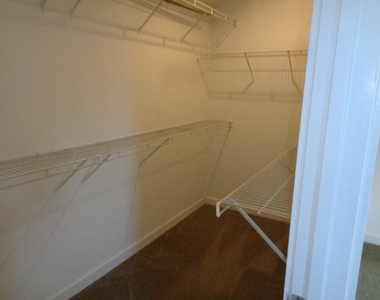 117 Willard Street - Photo Thumbnail 17