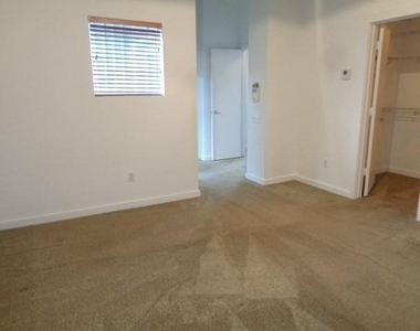 117 Willard Street - Photo Thumbnail 25