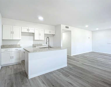 933 Marion Street - Photo Thumbnail 9