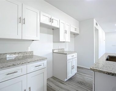 933 Marion Street - Photo Thumbnail 10