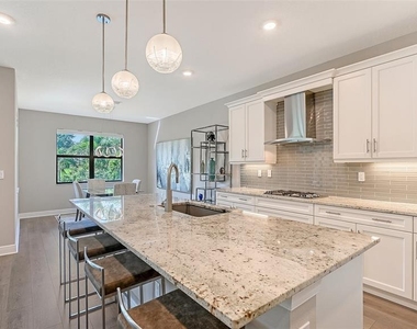 17202 Cresswind Terrace - Photo Thumbnail 4