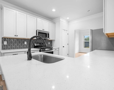 315 Hudson Chase Court - Photo Thumbnail 13