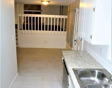 382 Cross Creek Place - Photo Thumbnail 19