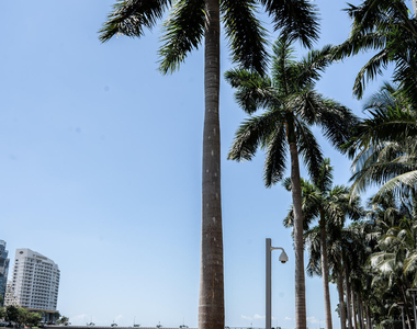 465 Brickell Avenue - Photo Thumbnail 83