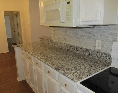9600 Royal Lane - Photo Thumbnail 14