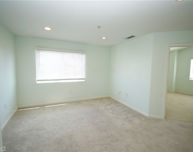 20462 Savanna - Photo Thumbnail 14