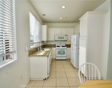 20462 Savanna - Photo Thumbnail 5